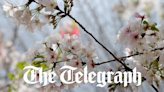 From the editor: Macon Telegraph’s new staff has tireless commitment to serving readers