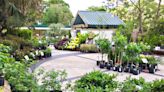 Extension Master Gardener spring plant sale showcasing new plants in Wilmington