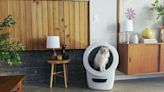 This Self-Cleaning Litter Box Makes My Cats Feel Like Royalty