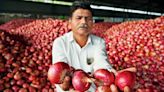 Onion banks to start, to give relief to cultivators, says CM Shinde