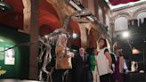 25 años de arqueología con premio en Alcalá de Henares