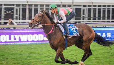 Hollywoodbets Durban July: Rachel Venniker to make history as first woman to ride in famous race