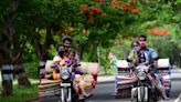 A boulevard of neem and tamarind trees in Pollachi serve as guardians of a thriving bio-diversity