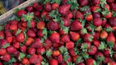 City of Arp to host 2-day Strawberry Festival