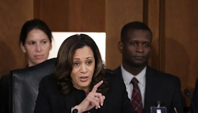 ‘She was made for this’: Harris allies explain why she can uniquely prosecute campaign against Trump