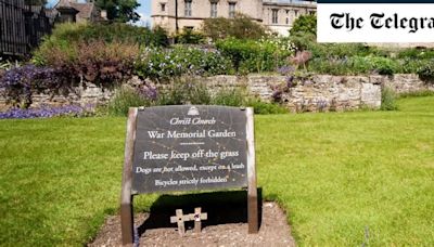 How to get an Oxford college-perfect lawn