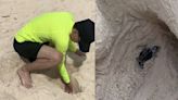 Hizo un hoyo en la arena de una playa de Cancún y halló un nido de tortugas