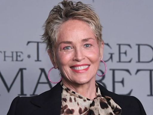 Sharon Stone fue demandada por USD 35 mil por un accidente automovilístico