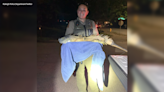 5-foot iguana caught roaming around Raleigh neighborhood
