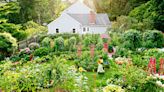 What Is a Permaculture Garden? Plus 12 Tips for Planting Your Own