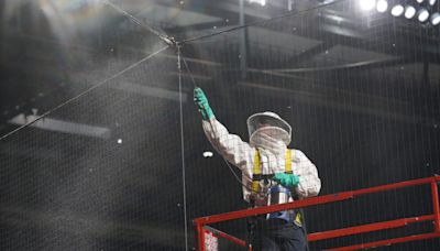 Hero Beekeeper Matt Hilton getting a Topps baseball card