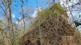 Ofertan un terreno en Yucatán “con pirámides” mayas; INAH presentará denuncia contra dueños del predio