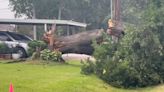 Severe weather causes power outages, downed trees across Southeast Texas on Tuesday