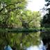 Wekiwa Springs State Park