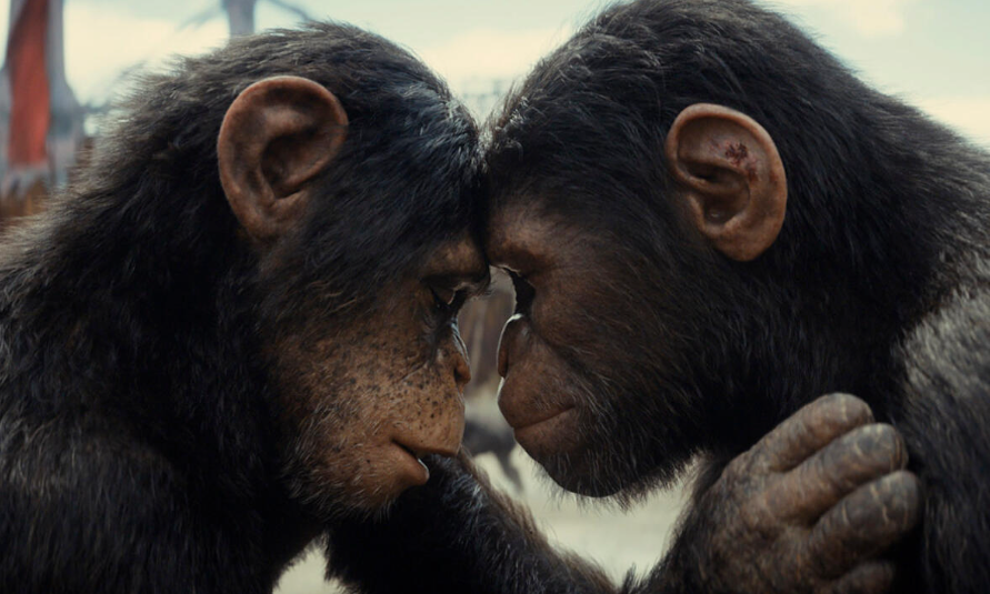 Kingdom Of The Planet Of The Apes Starts Strong, Biggest For 20th Century Since Avatar 2