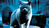 Pet Sematary Director Mary Lambert Reflects on the Legacy of 1989 Stephen King Movie