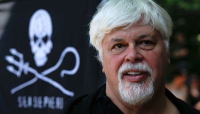 Veteran anti-whaling activist Paul Watson could be extradited to Japan after arrest in Greenland, his foundation says