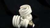 Biden Rule Proposes Phasing Out Compact Fluorescent Light Bulbs
