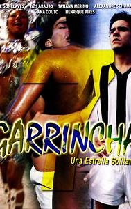 Garrincha: Estrela Solitária