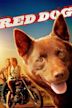 Red Dog (film)