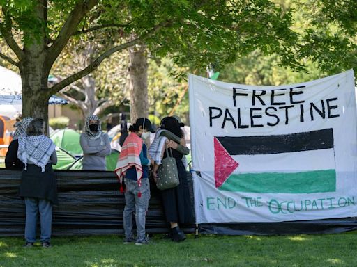 Pro-Palestine protesters erect encampment at UC Davis amid nationwide protests over war
