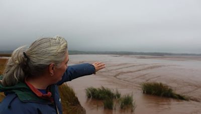 Tender issued for first projects to upgrade Annapolis Valley dikes