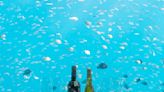海底陳年365天的「香檳王」好喝嗎？到馬爾地夫，享受六米深大海品酒之旅