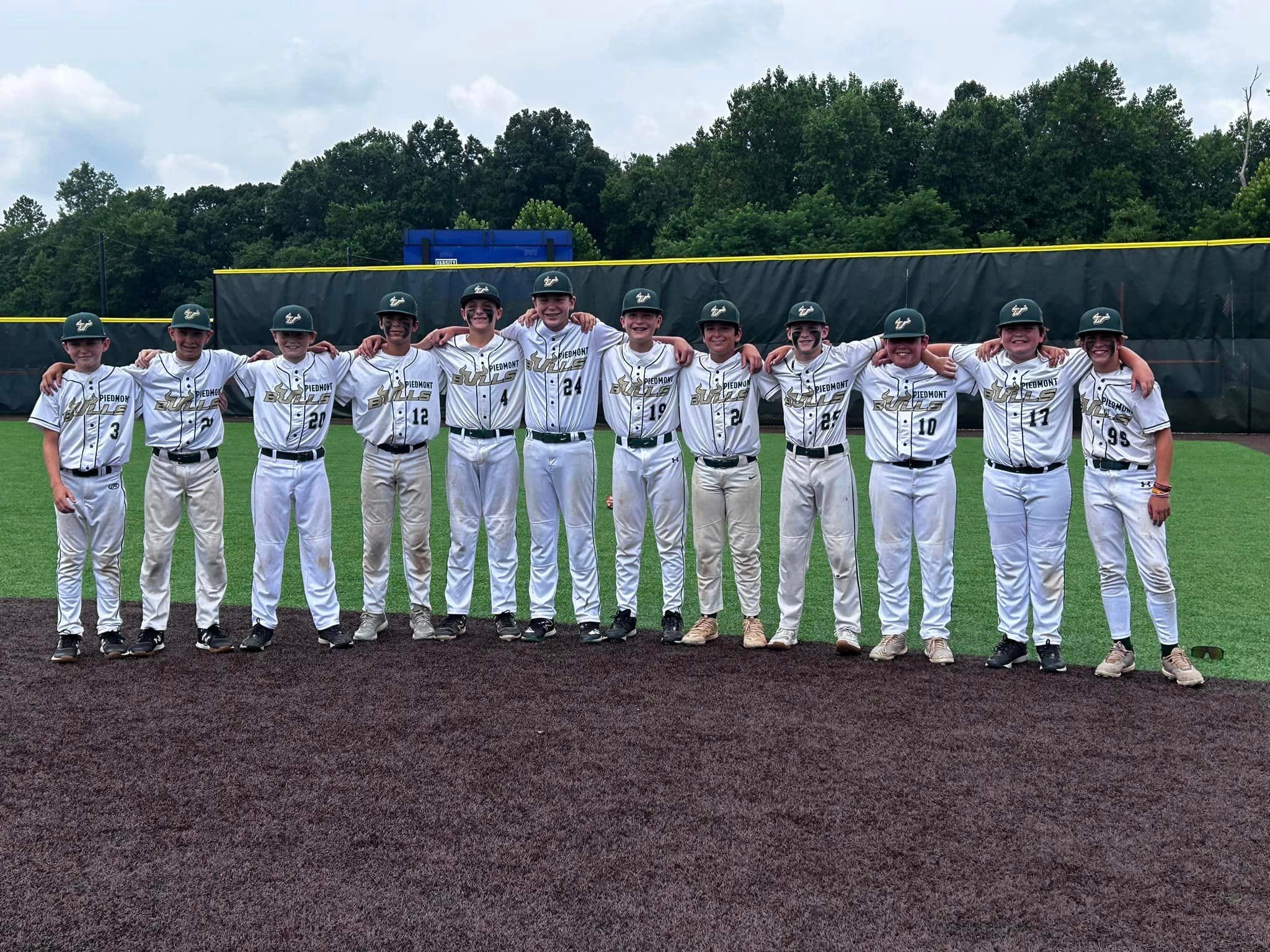 Hockessin baseball team reaches Cal Ripken World Series