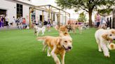 Skiptown to open "upscale" dog park in Atlanta