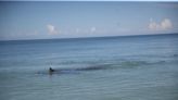 Bacteria found at Bonita Beach may have come from humans, health officials say