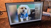 Skylight 15-inch Digital Picture Frame review: Grandparents will love it, but I have issues