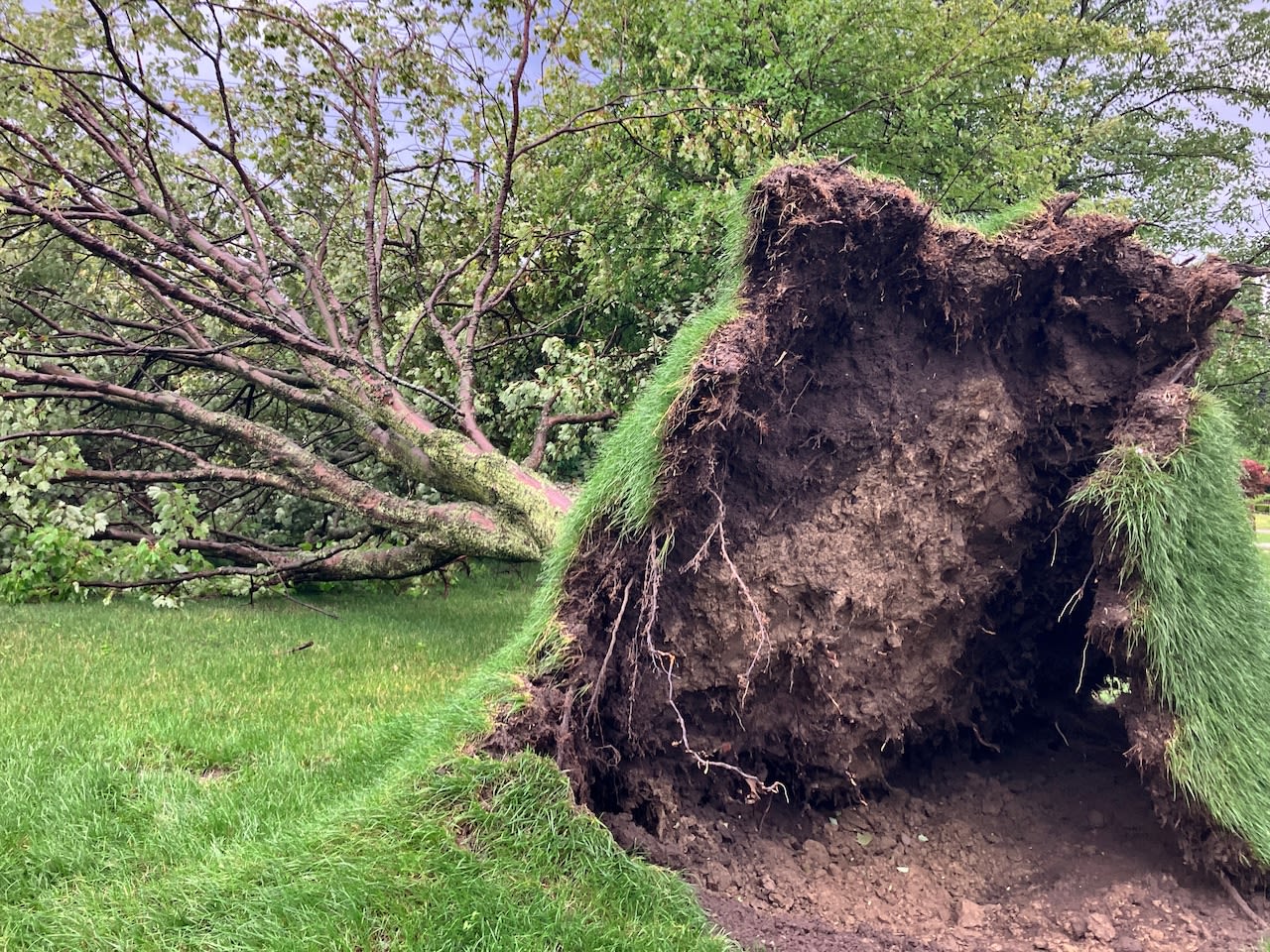 Wicked storm that whipped across Cleveland area included gust of 86 mph