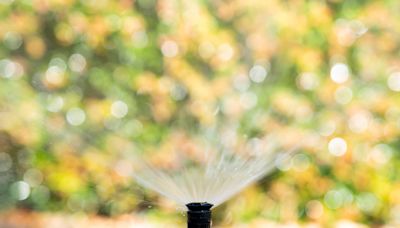 Your lawn needs water. Here's what you should know this summer