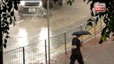 本港早上狂風雷暴 多區有大樹倒塌 - RTHK