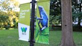 Flaco the Owl fondly remembered at his Central Park oak tree