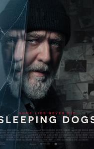 Sleeping Dogs (2024 film)