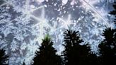 Unusual winter wonderland display inside new dome at Phoenix's Desert Ridge Marketplace