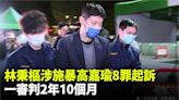 林秉樞涉施暴高嘉瑜8罪起訴 一審判2年10個月