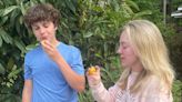 Campbell Vaughn: Loquat is a great addition to any landscape with bonus of good-tasting berries