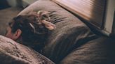 Cómo relajarse y dormir bien durante la noche: 10 consejos de un profesor de Oxford