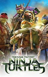 Teenage Mutant Ninja Turtles (2014 film)