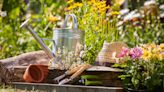 7 Things Expert Gardeners Never Buy – So Save Your Money