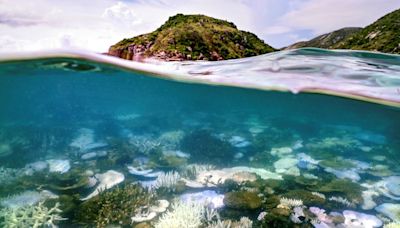 Australia’s Great Barrier Reef tries to make sustainability cool