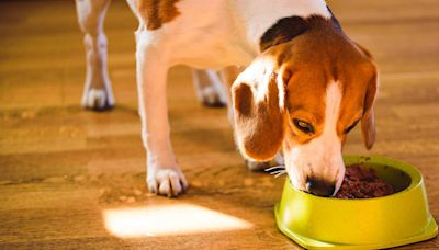 Dog food sold by Walmart recalled as it may contain metal pieces