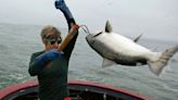 California salmon fishing canceled for second year in row as population wanes