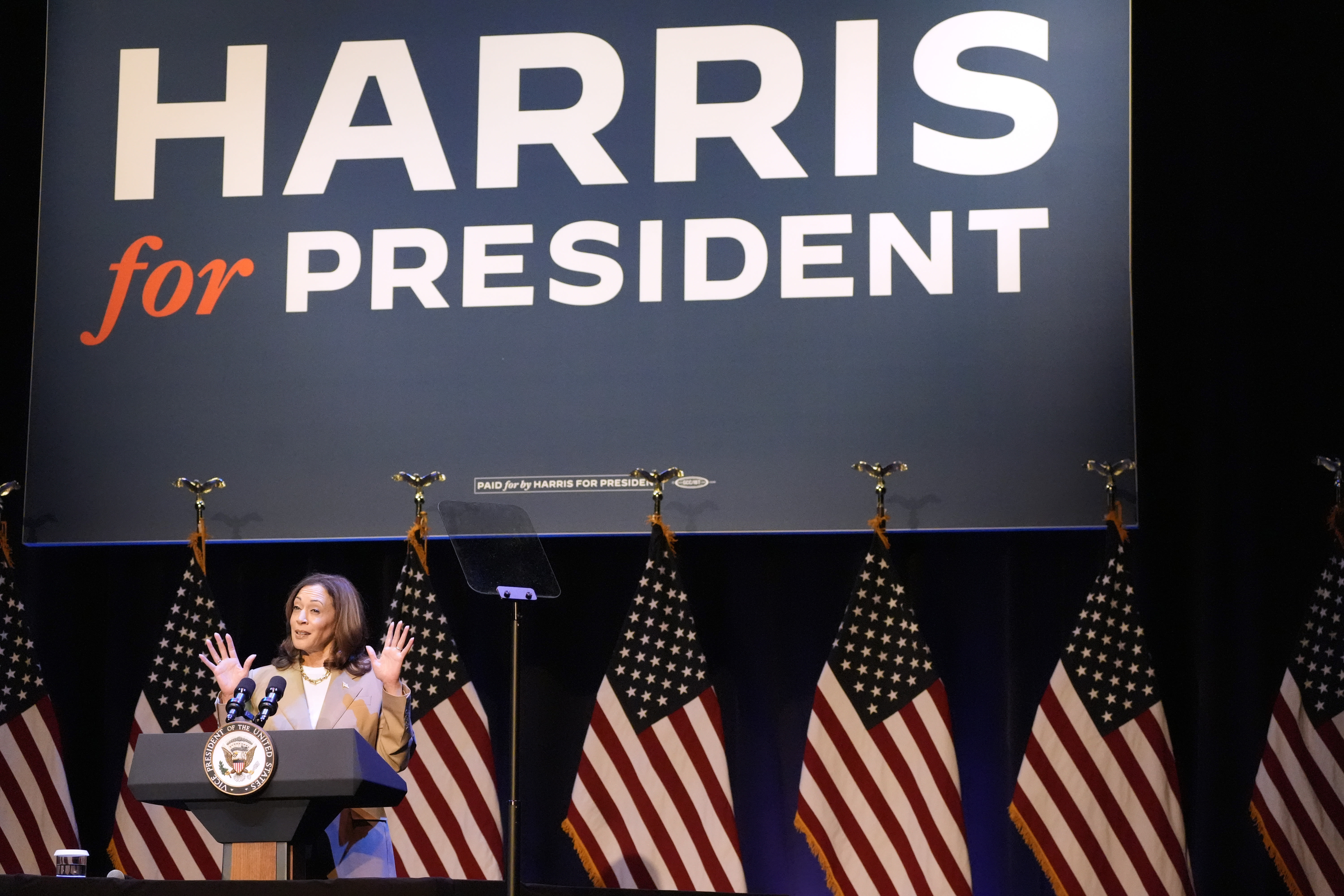 'White Dudes for Harris' is the latest in a series of Zoom gatherings backing the vice president