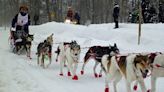 Wassailing, winter dogs and wedding planning: What to do in West Michigan this weekend