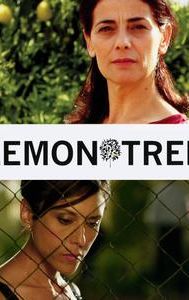 Lemon Tree (2008 film)