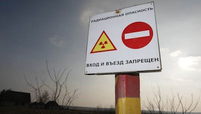 Accidente Chernóbil: El animal que fue inmune a la radiación y que dejó asombrados a los científicos