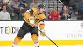 Golden Knights Announce Roster For Rookie Camp